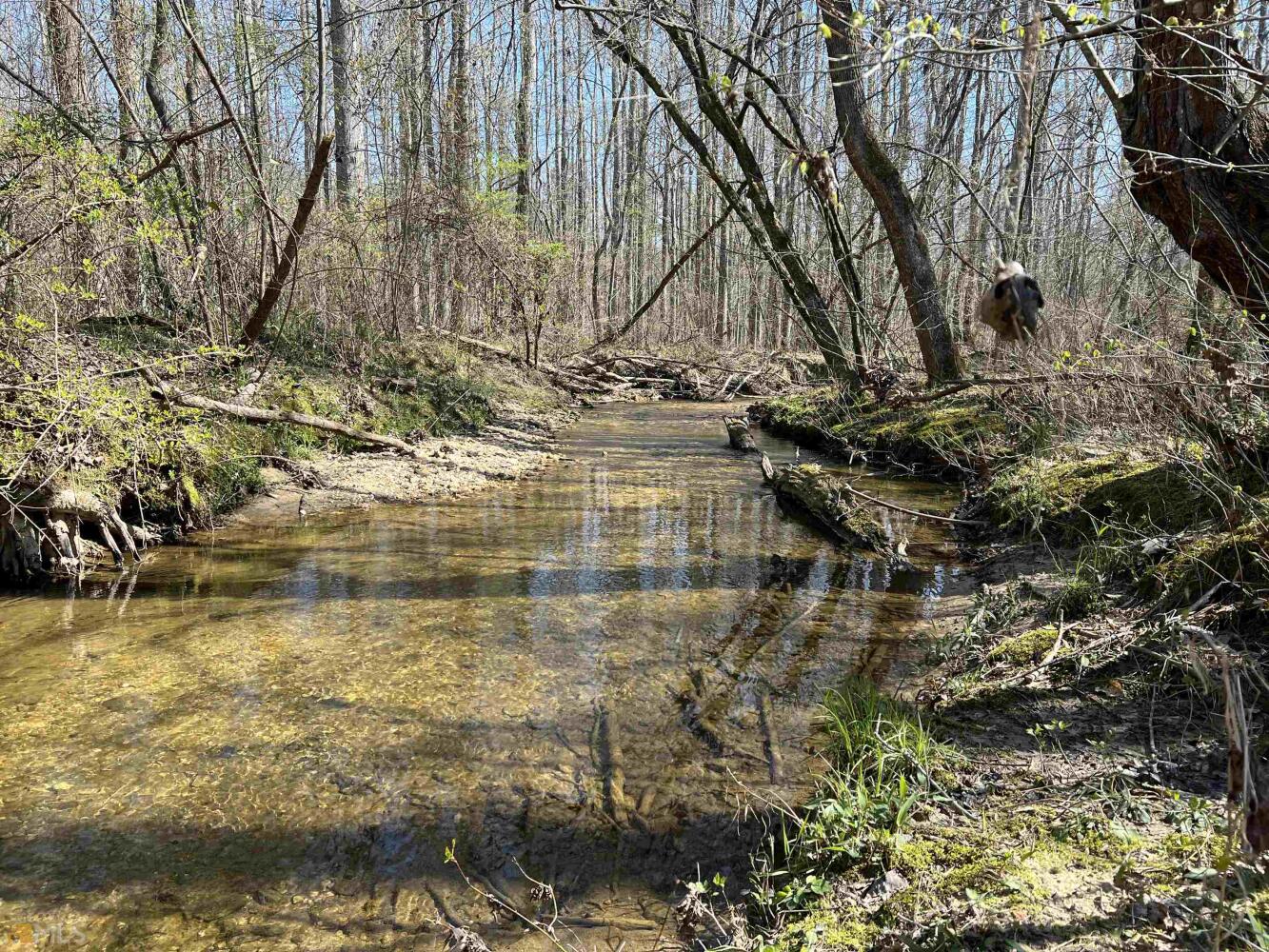 Land for Sale in Haralson County, (25 Photos) National Land