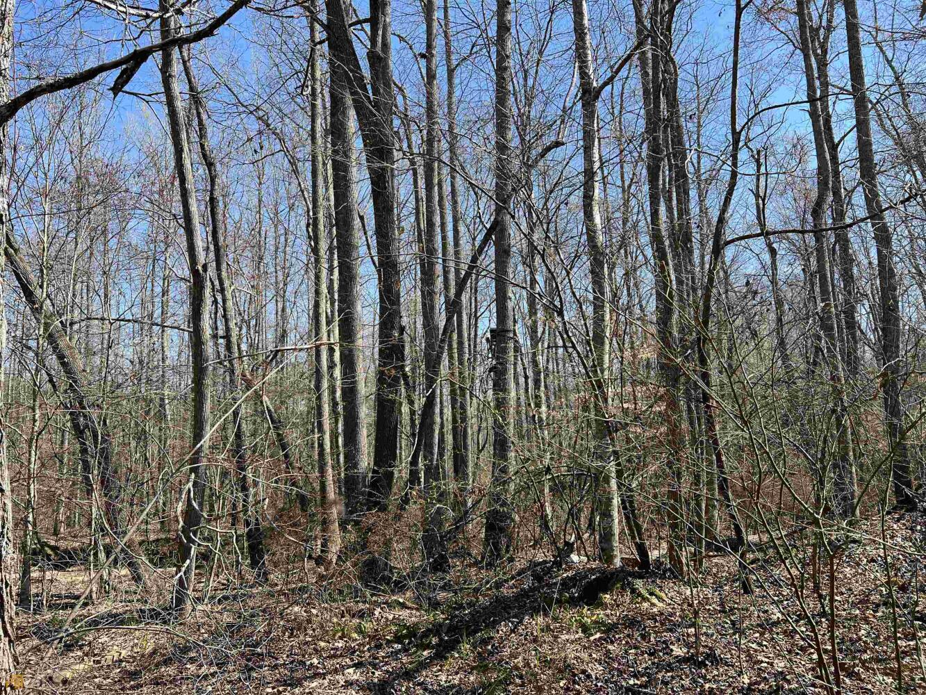 Land for Sale in Haralson County, (25 Photos) National Land