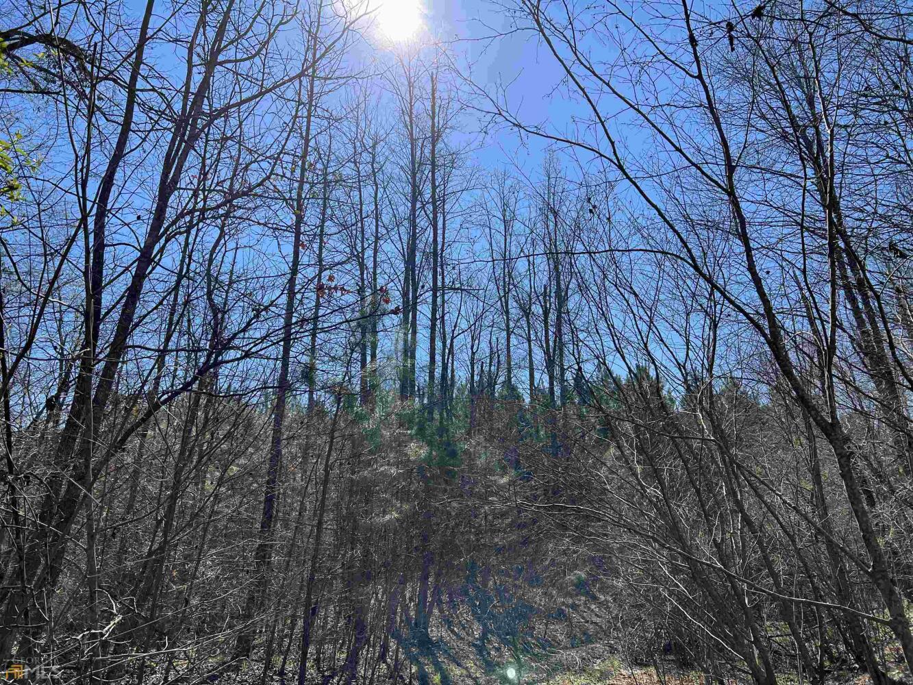 Land for Sale in Haralson County, (25 Photos) National Land