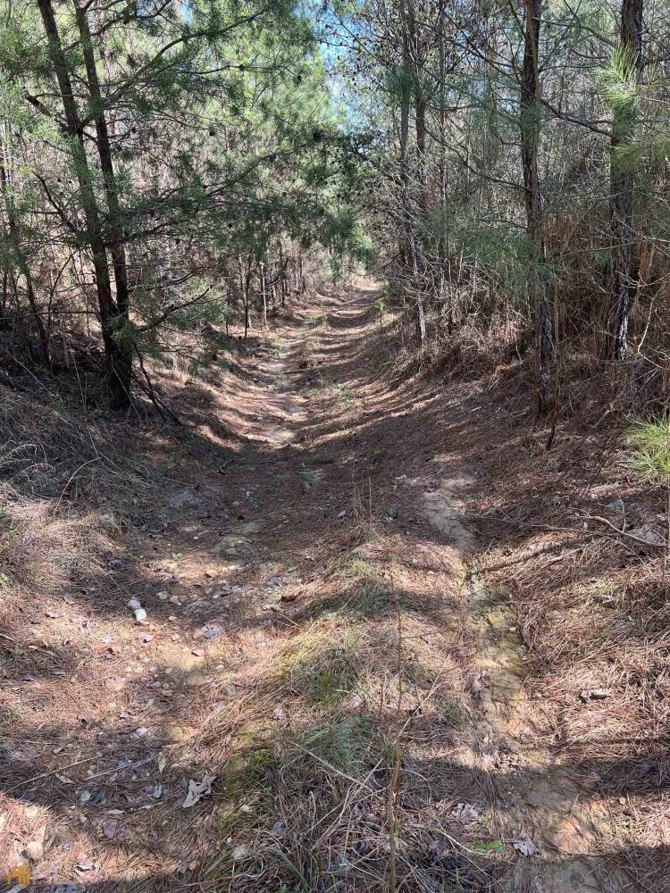 Land for Sale in Haralson County, (25 Photos) National Land