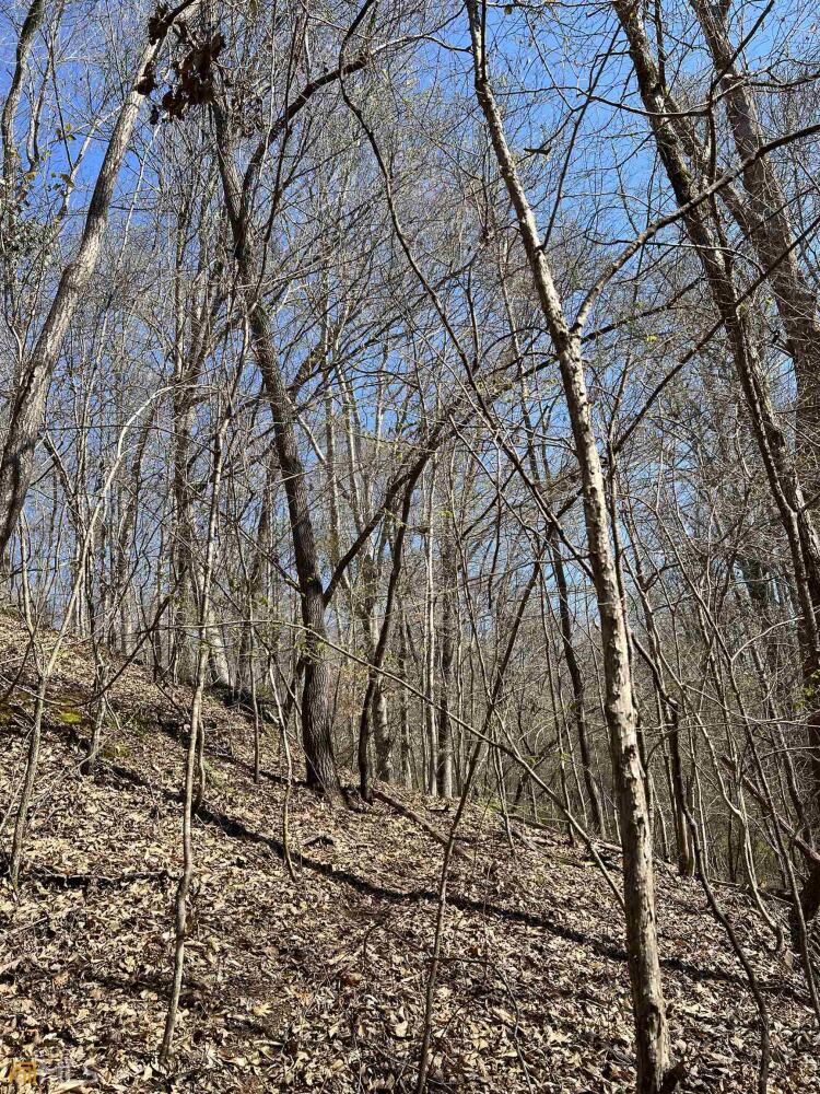 Land for Sale in Haralson County, (25 Photos) National Land