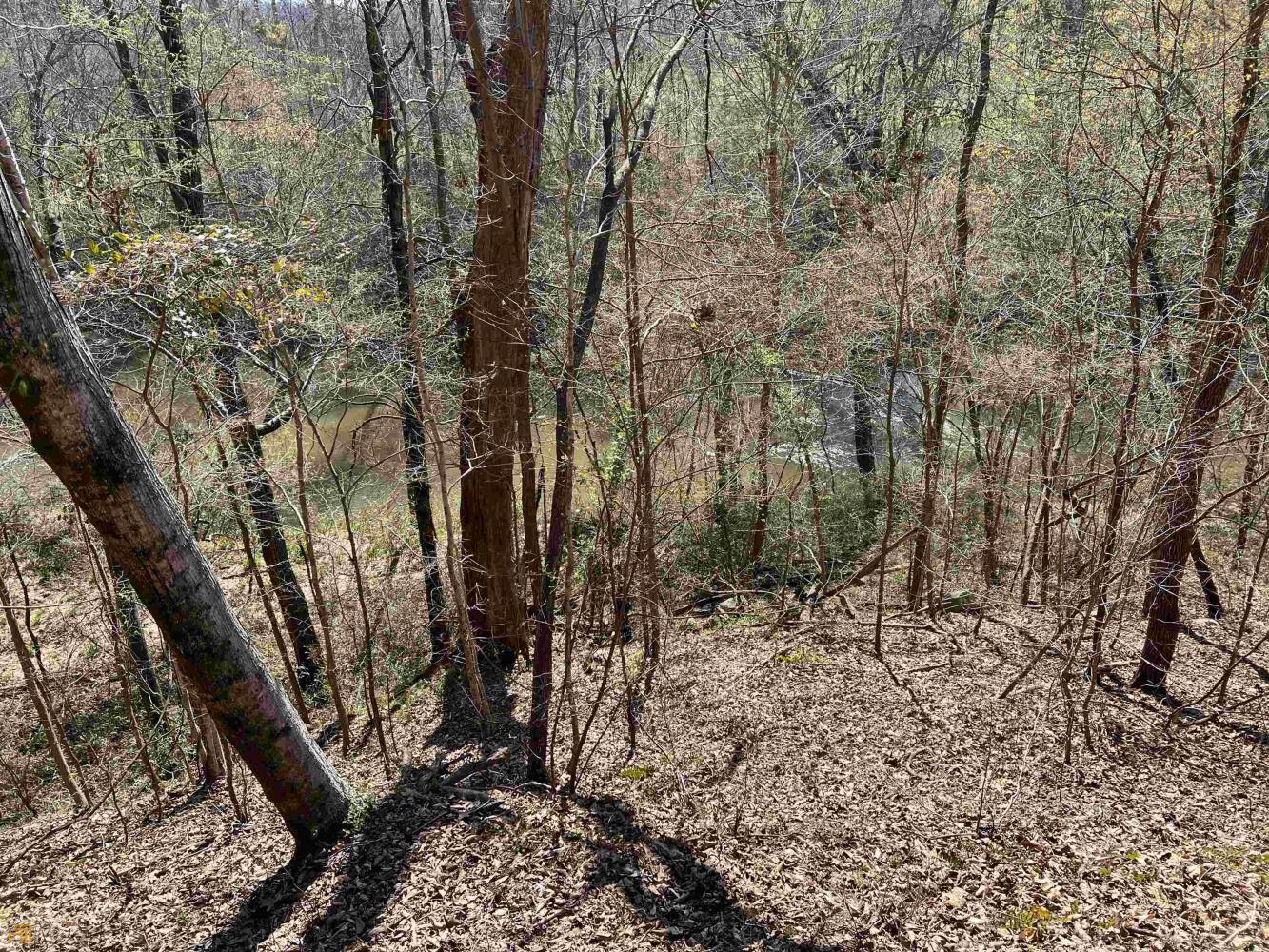 Land for Sale in Haralson County, (25 Photos) National Land