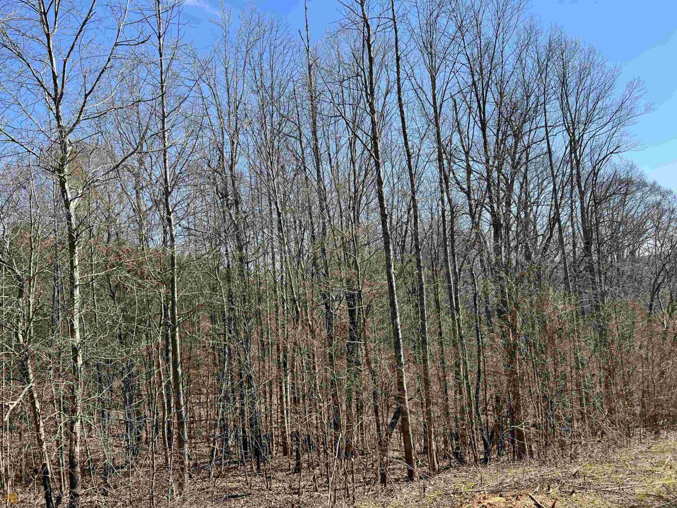 Land for Sale in Haralson County, (25 Photos) National Land