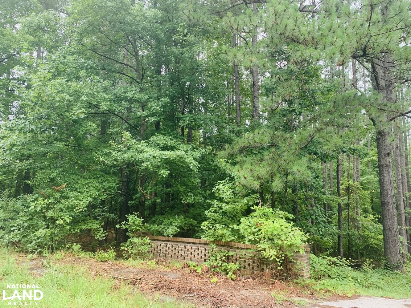Ashley Creek Homesite in Kershaw County, South Carolina (7 Photos