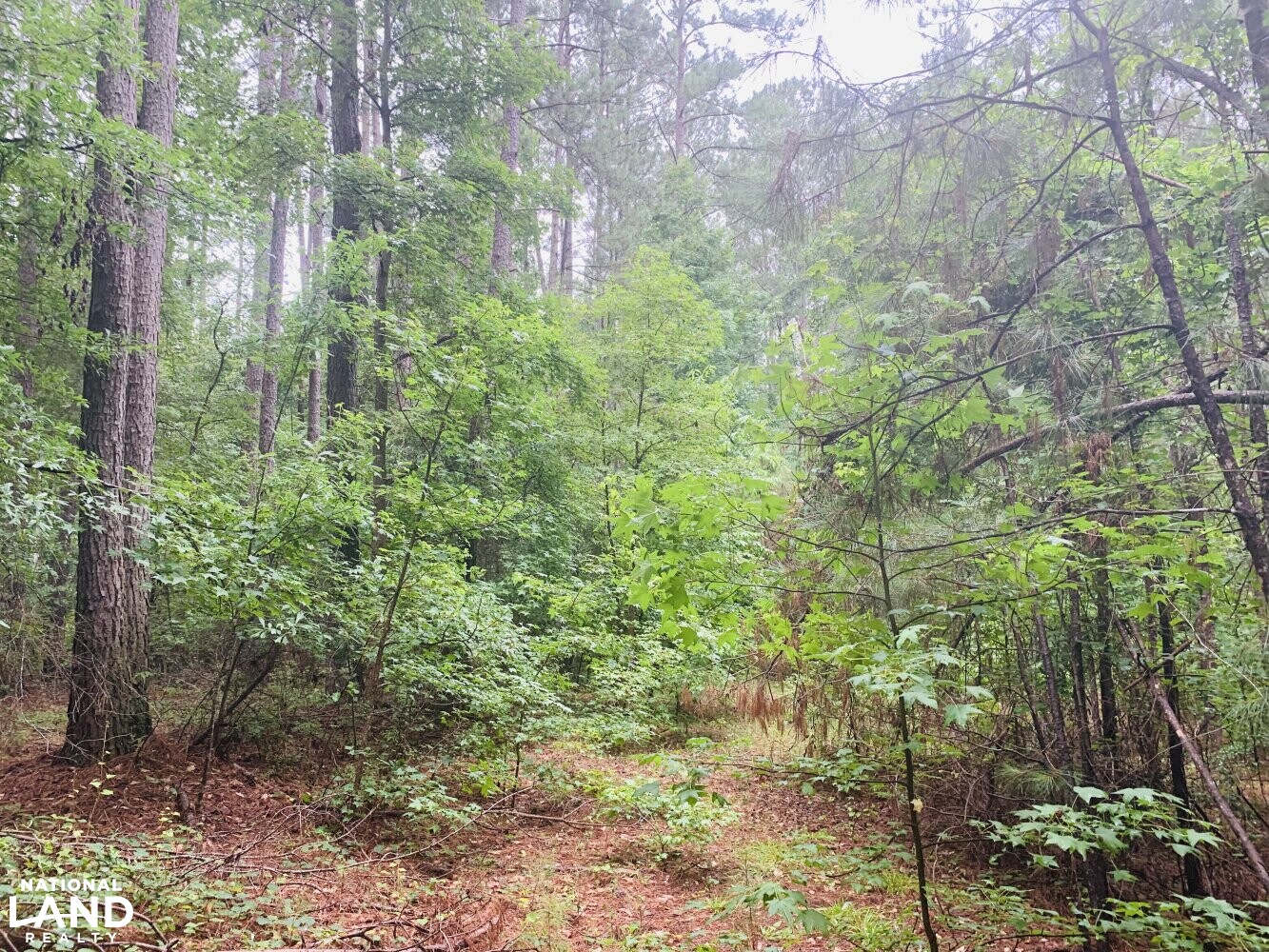 Ashley Creek Homesite in Kershaw County, South Carolina (7 Photos