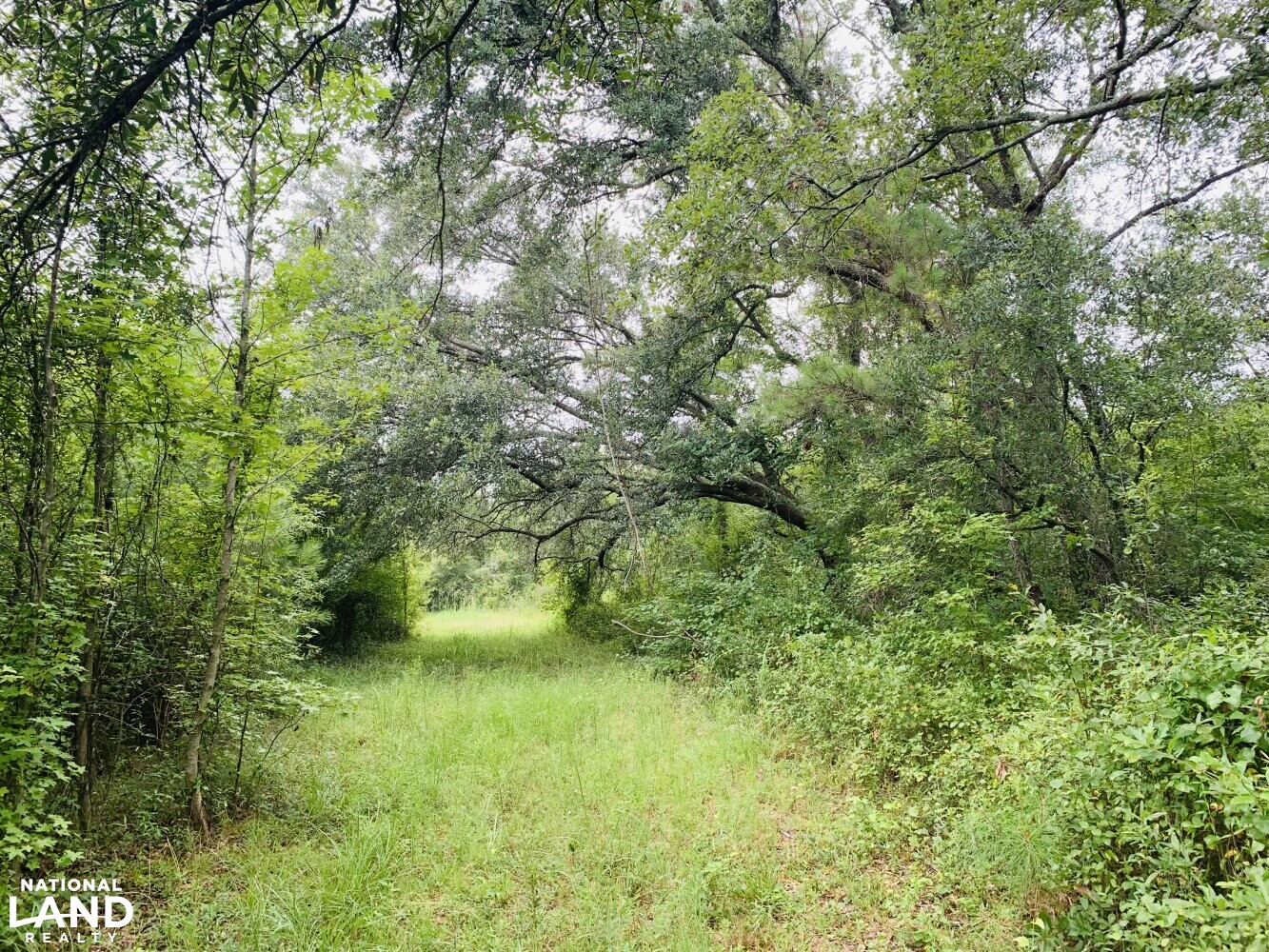 Santee Recreation and Hunting in Orangeburg County, South Carolina (27