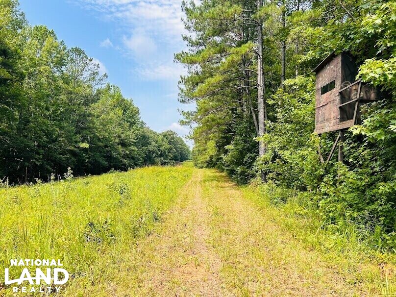 Hunting Land with Camp and Equipment in Talbot County, (60