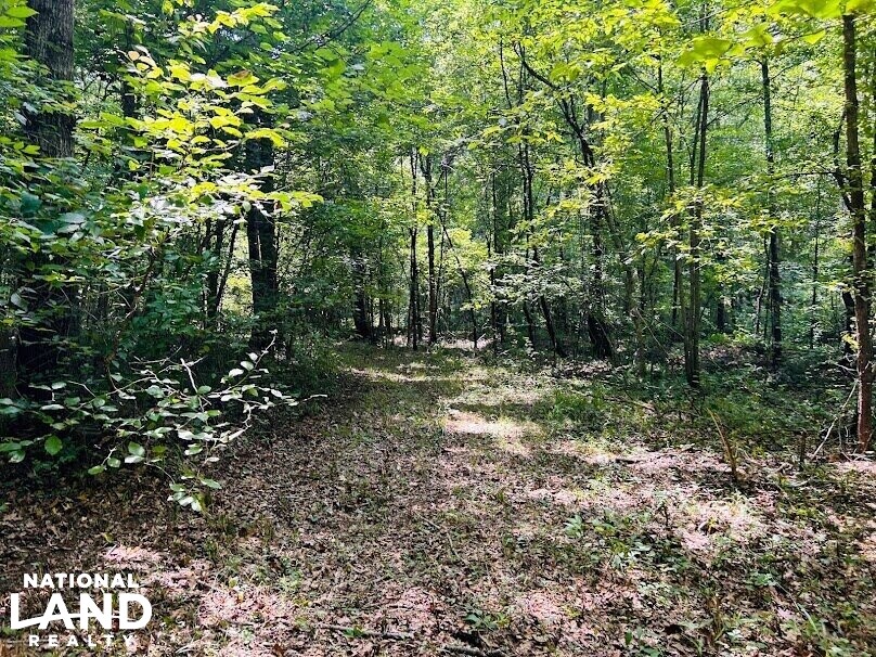 Hunting Land with Camp and Equipment in Talbot County, (60