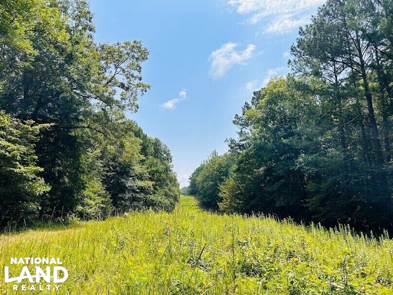 Hunting Land with Camp and Equipment in Talbot County, (60