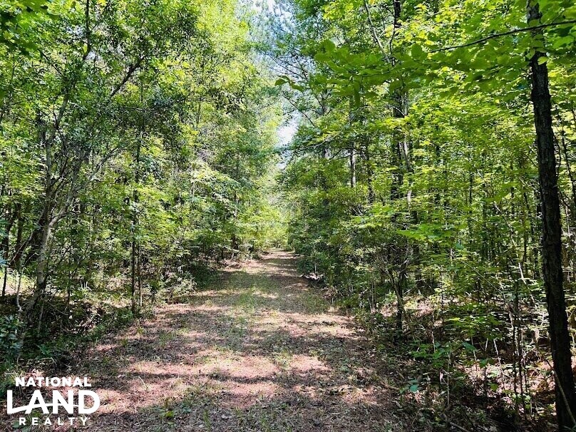 Hunting Land with Camp and Equipment in Talbot County, (60