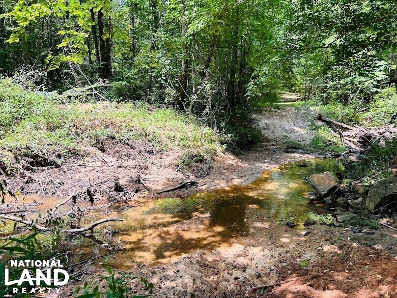 Hunting Land with Camp and Equipment in Talbot County, (60