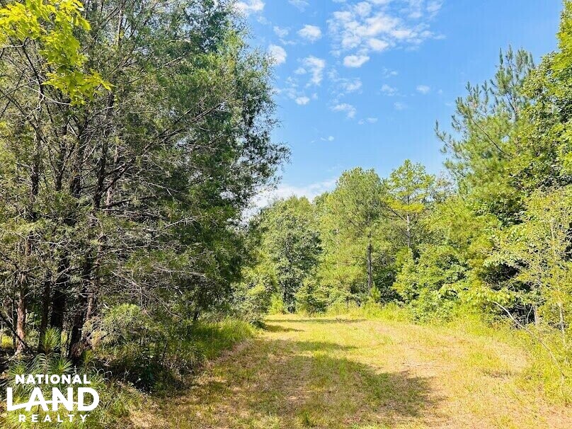 Hunting Land with Camp and Equipment in Talbot County, (60
