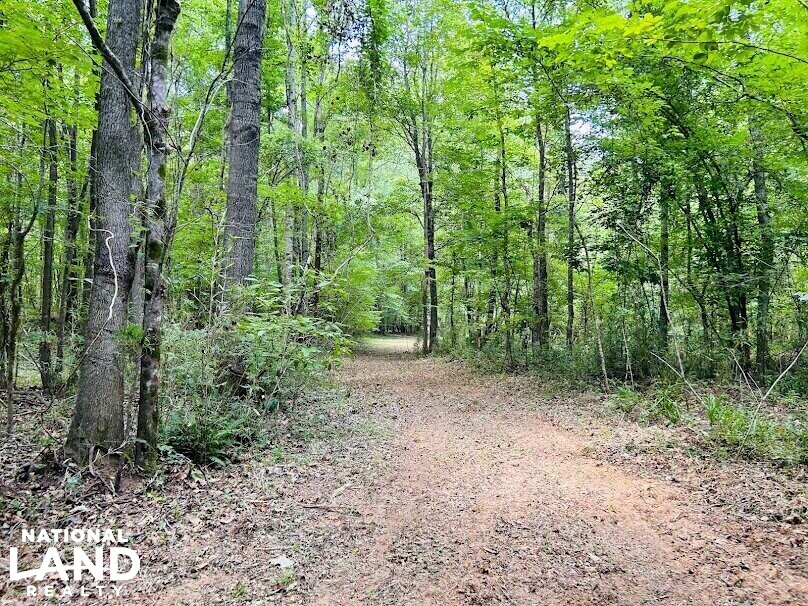 Hunting Land with Camp and Equipment in Talbot County, (60