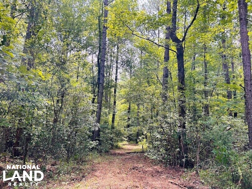 Hunting Land with Camp and Equipment in Talbot County, (60