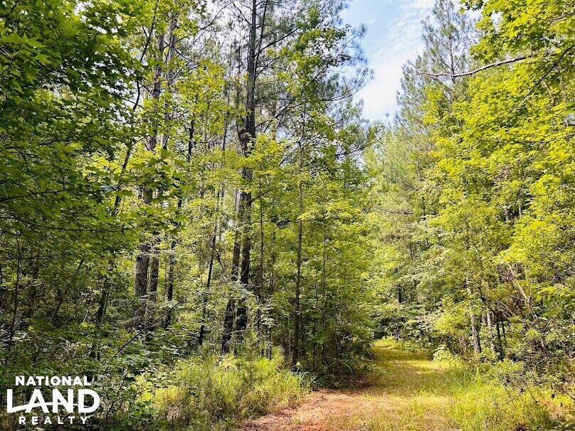 Hunting Land with Camp and Equipment in Talbot County, (60