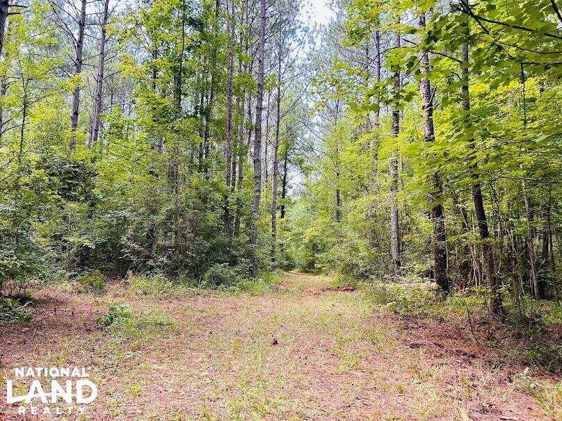 Hunting Land with Camp and Equipment in Talbot County, (60