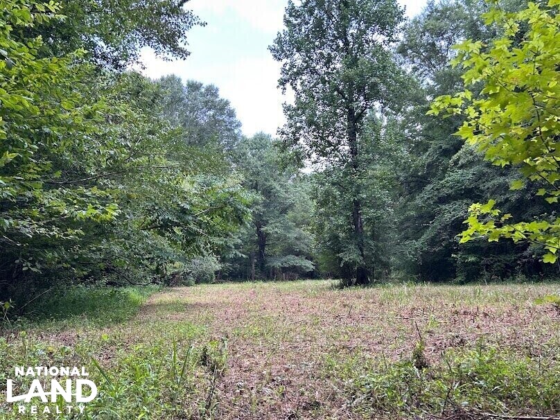 Hunting Land with Camp and Equipment in Talbot County, (60