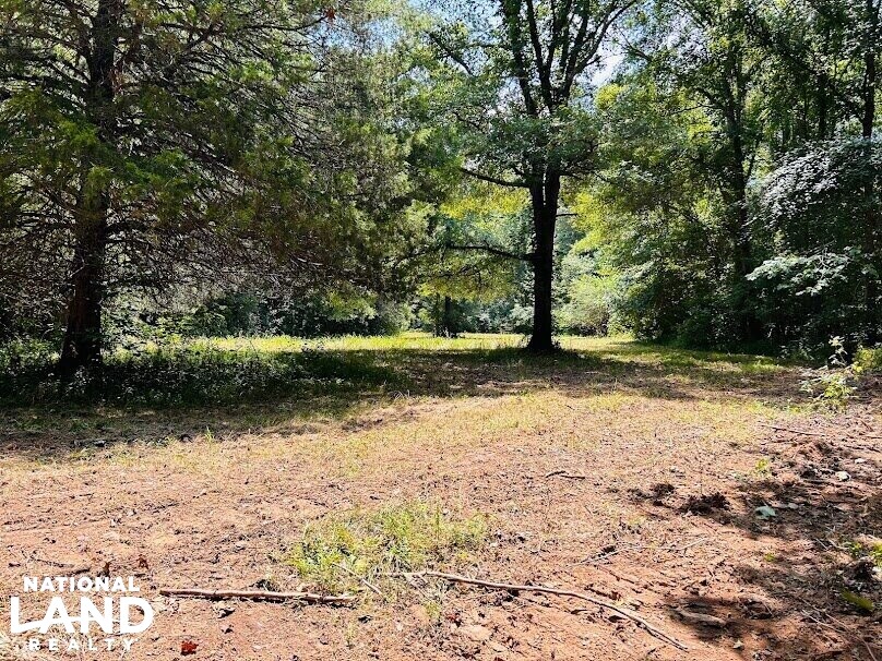Hunting Land with Camp and Equipment in Talbot County, (60