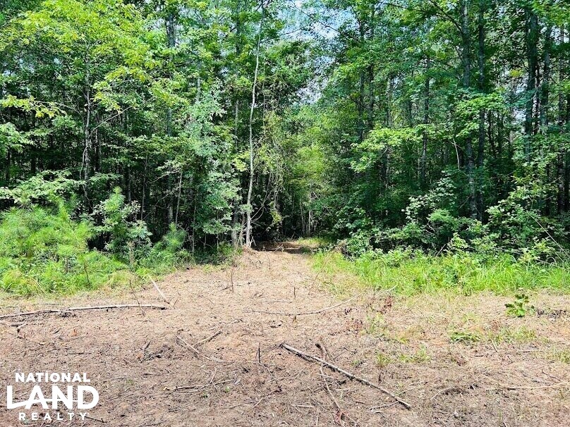 Hunting Land with Camp and Equipment in Talbot County, (60