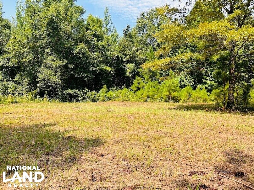 Hunting Land with Camp and Equipment in Talbot County, (60