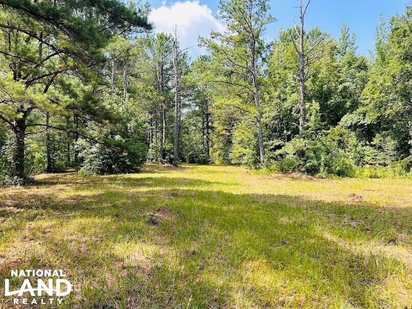 Hunting Land with Camp and Equipment in Talbot County, (60