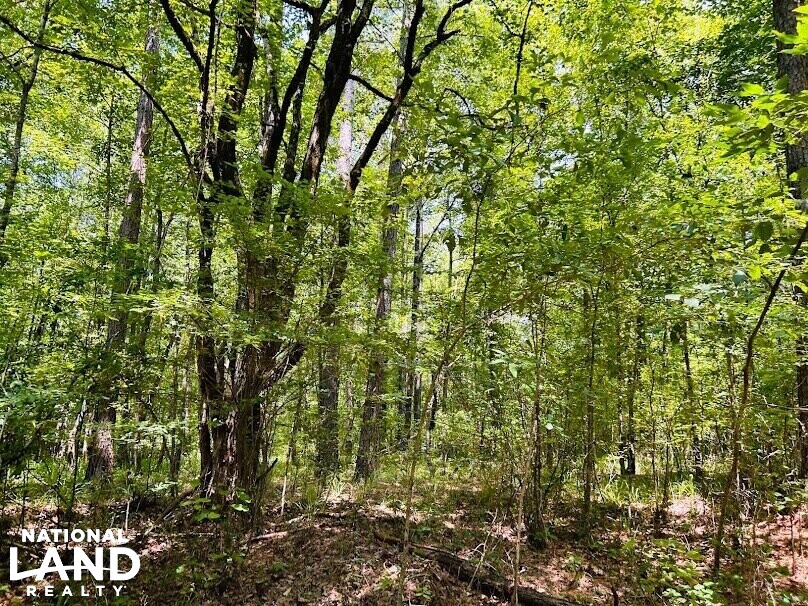 Hunting Land with Camp and Equipment in Talbot County, (60