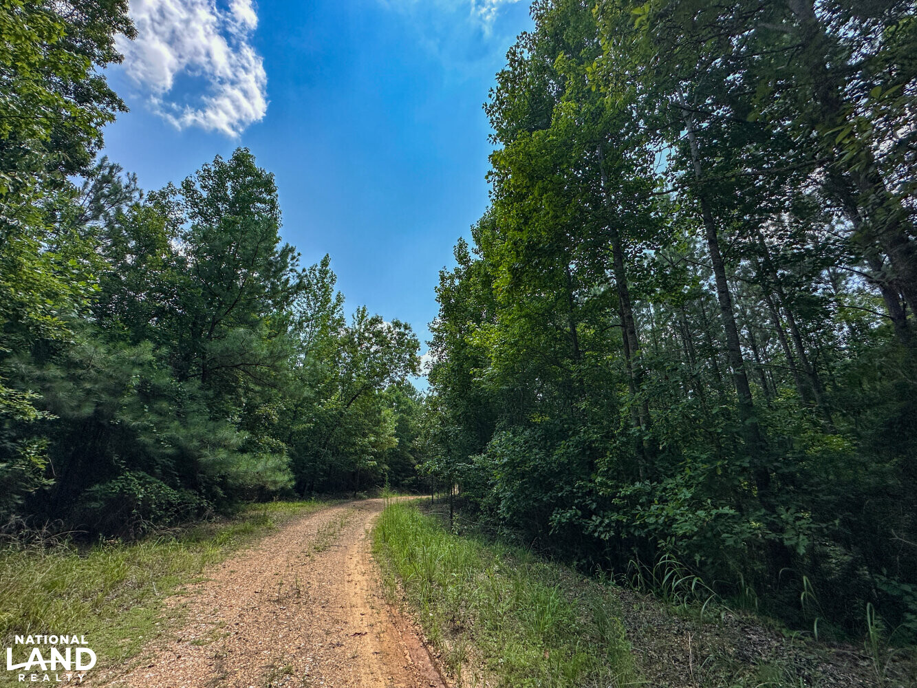 West Bibb Timber and Hunting Investment in Bibb County, Alabama (45