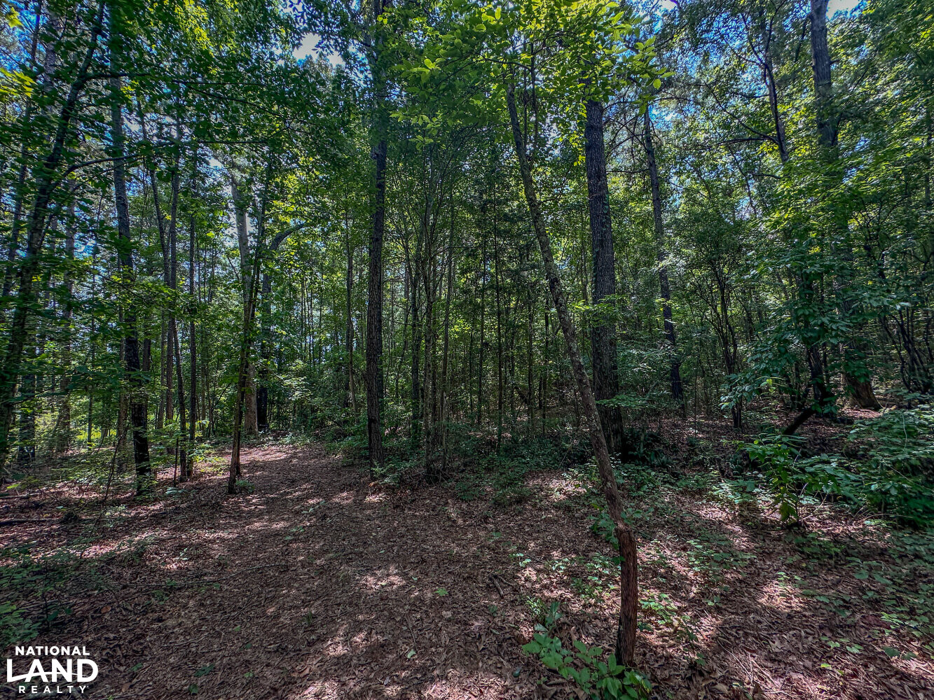 West Bibb Timber and Hunting Investment in Bibb County, Alabama (45