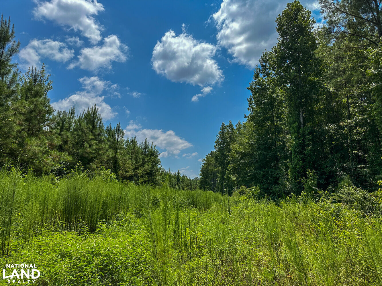 West Bibb Timber and Hunting Investment in Bibb County, Alabama (45