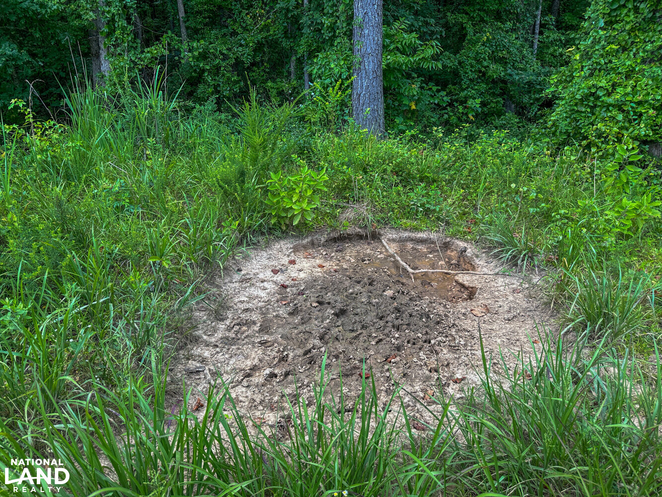 West Bibb Timber and Hunting Investment in Bibb County, Alabama (45