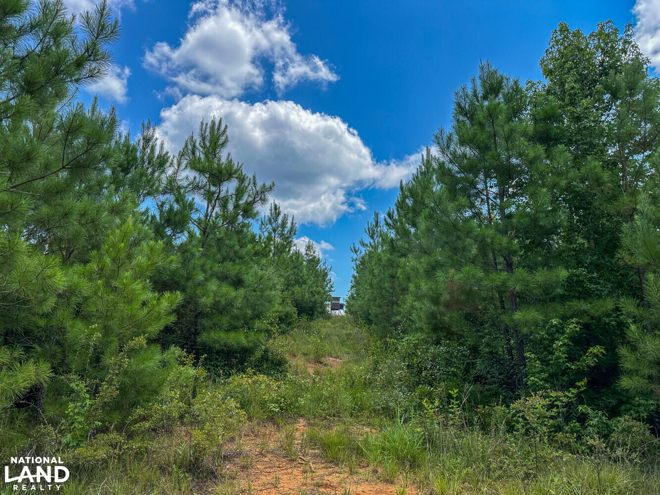 West Bibb Timber and Hunting Investment in Bibb County, Alabama (45