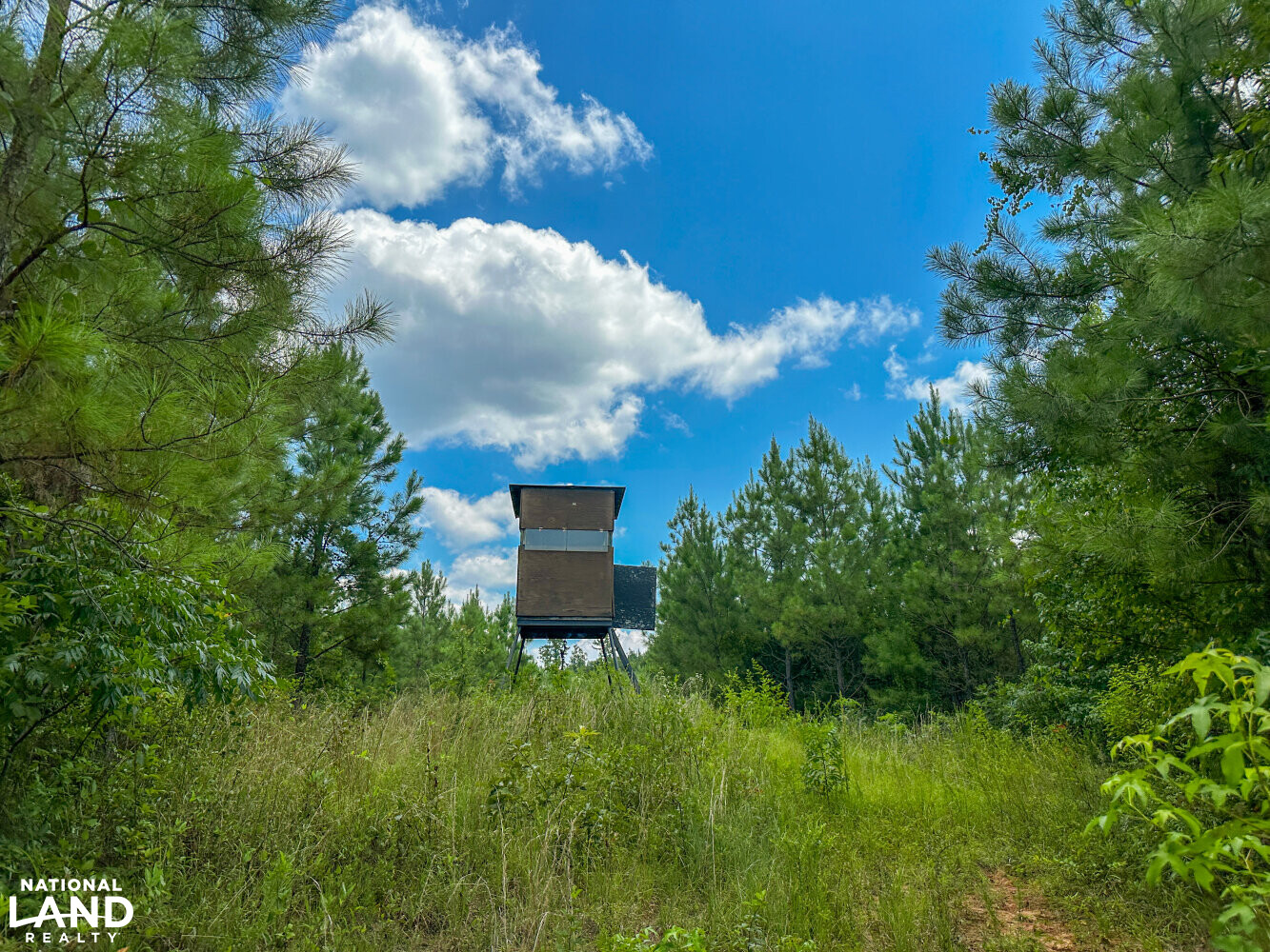 West Bibb Timber and Hunting Investment in Bibb County, Alabama (45