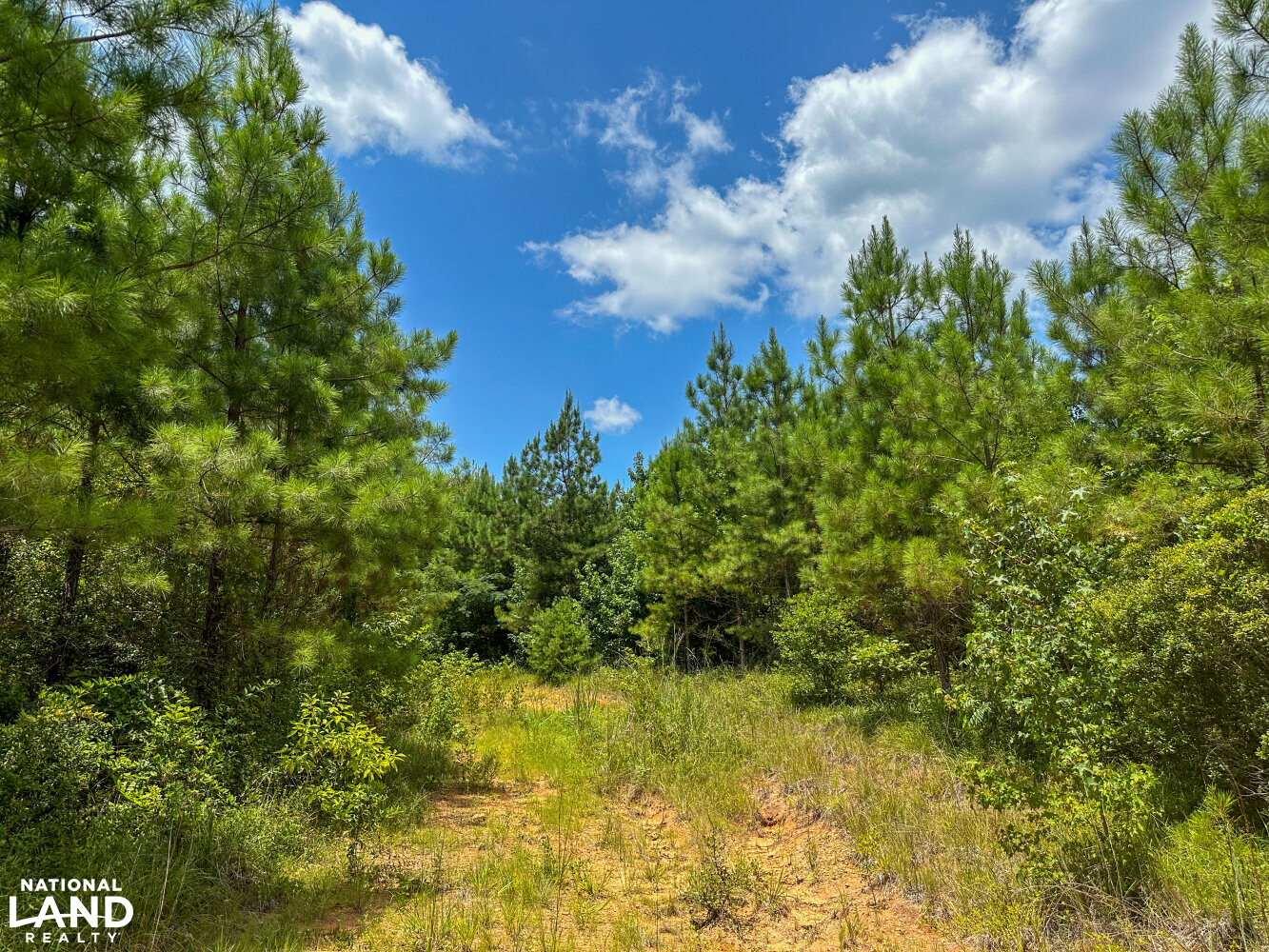 West Bibb Timber and Hunting Investment in Bibb County, Alabama (45