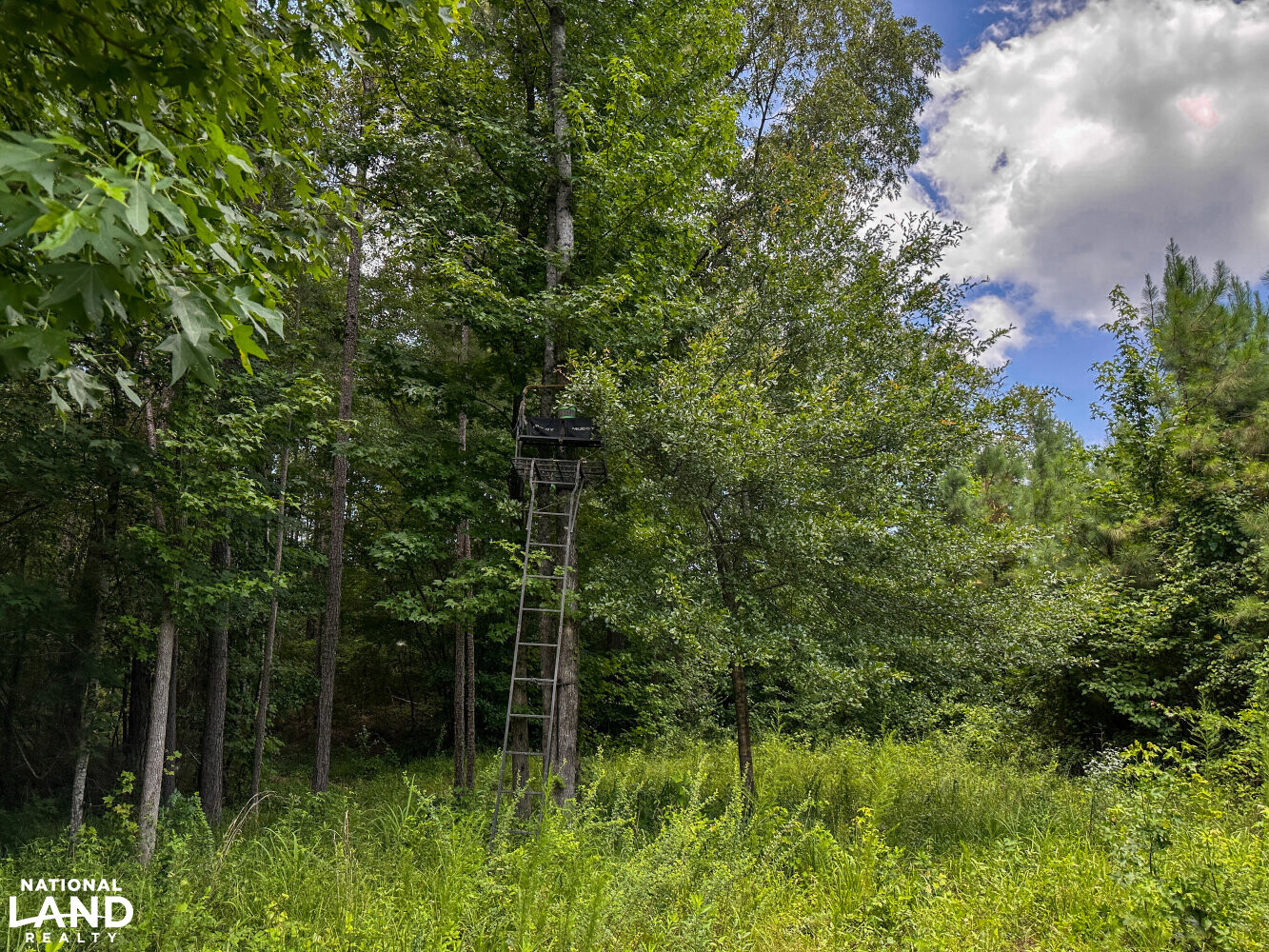 West Bibb Timber and Hunting Investment in Bibb County, Alabama (45