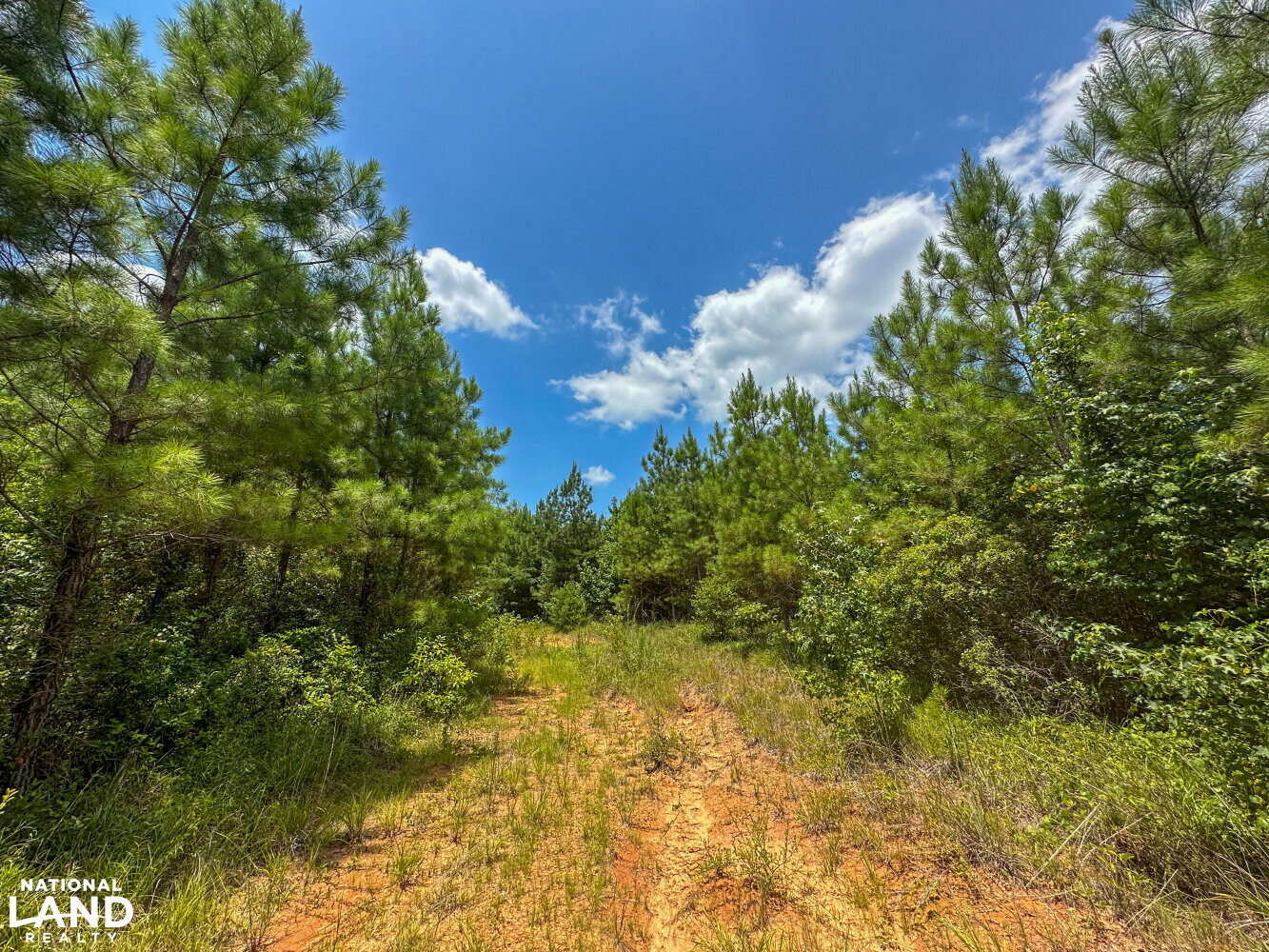 West Bibb Timber and Hunting Investment in Bibb County, Alabama (45