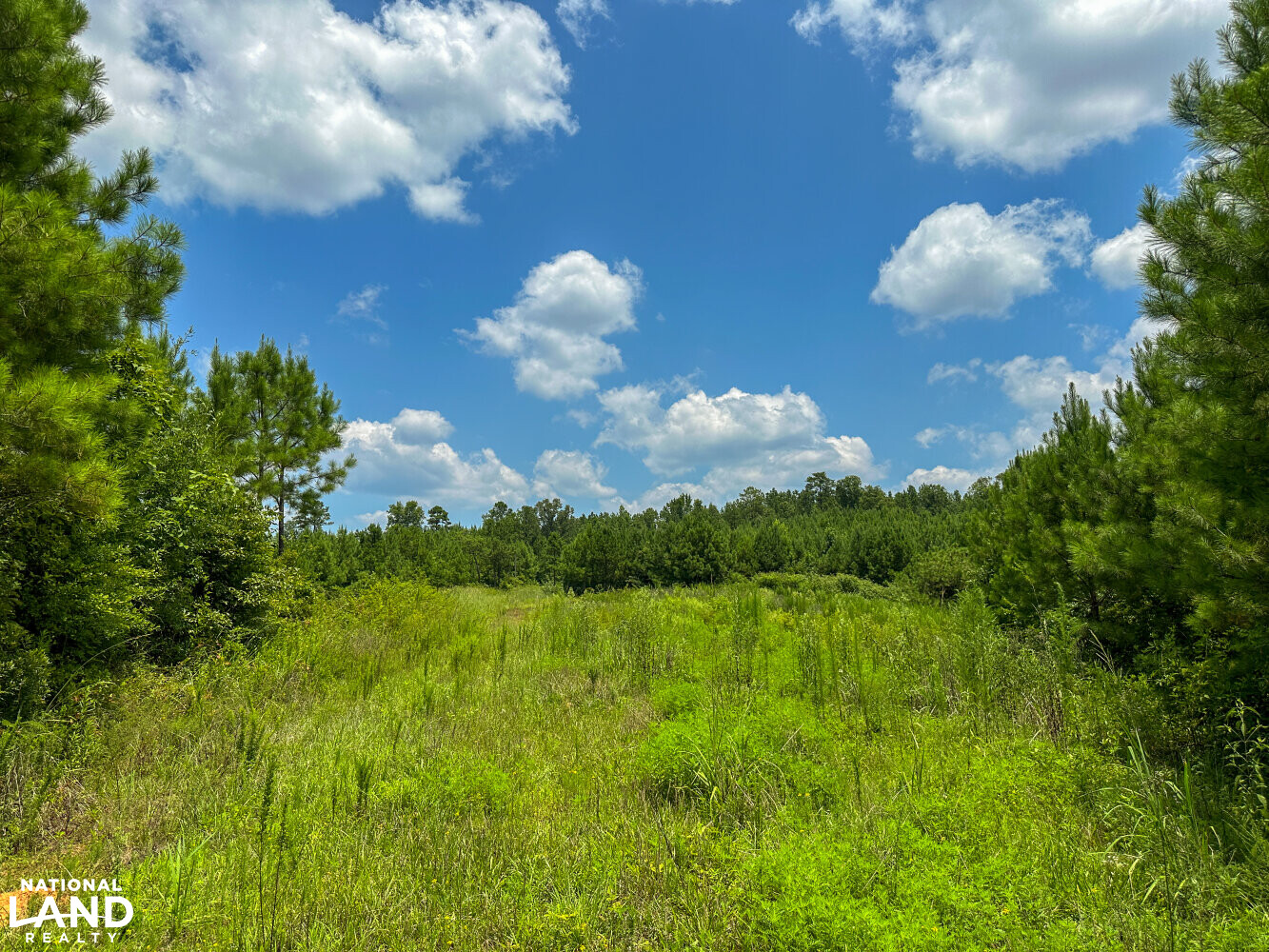 West Bibb Timber and Hunting Investment in Bibb County, Alabama (45