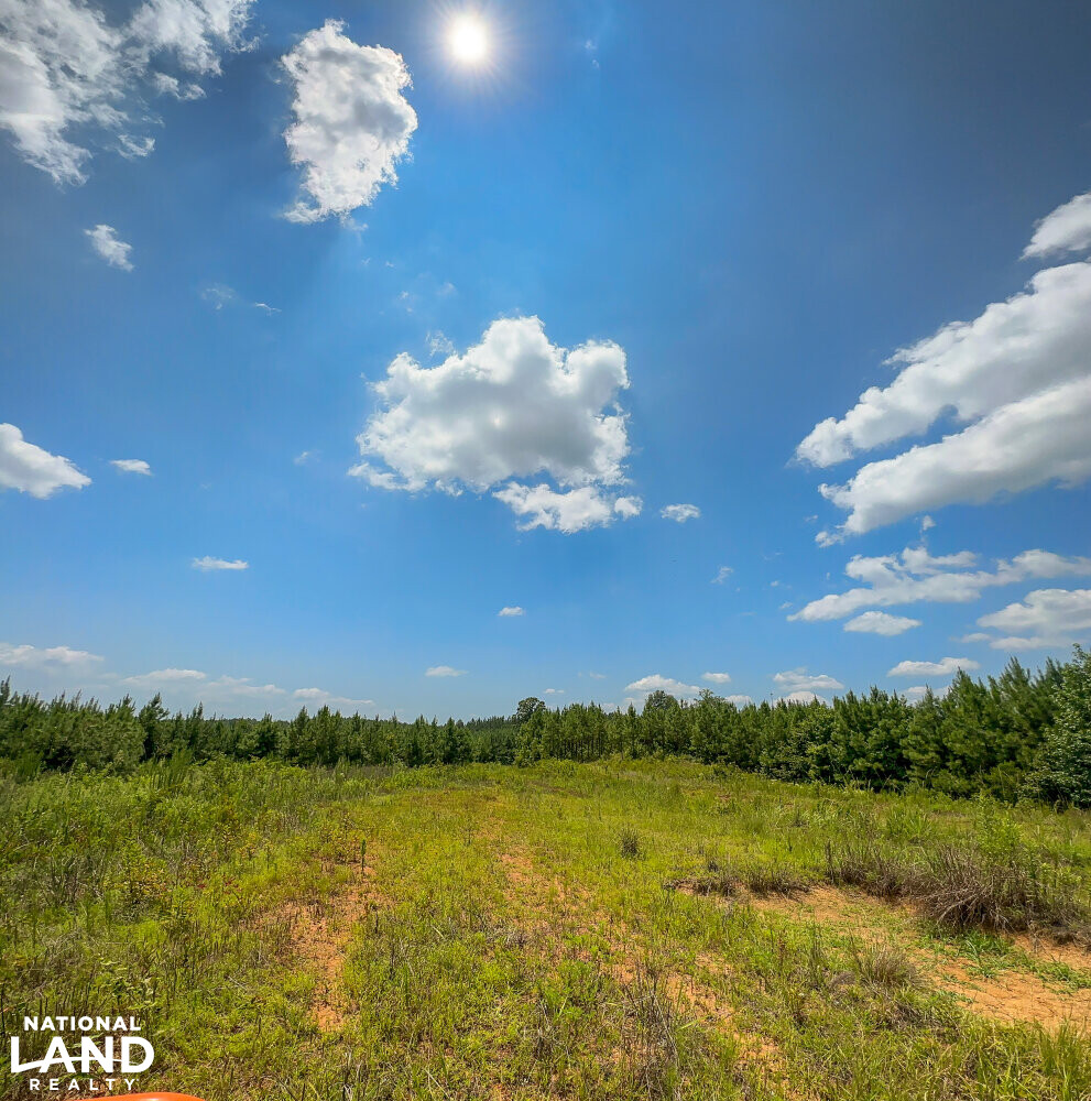 West Bibb Timber and Hunting Investment in Bibb County, Alabama (45