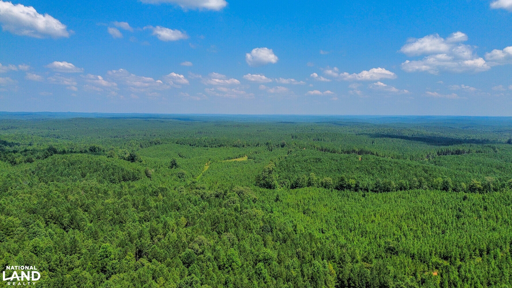 West Bibb Timber and Hunting Investment in Bibb County, Alabama (45
