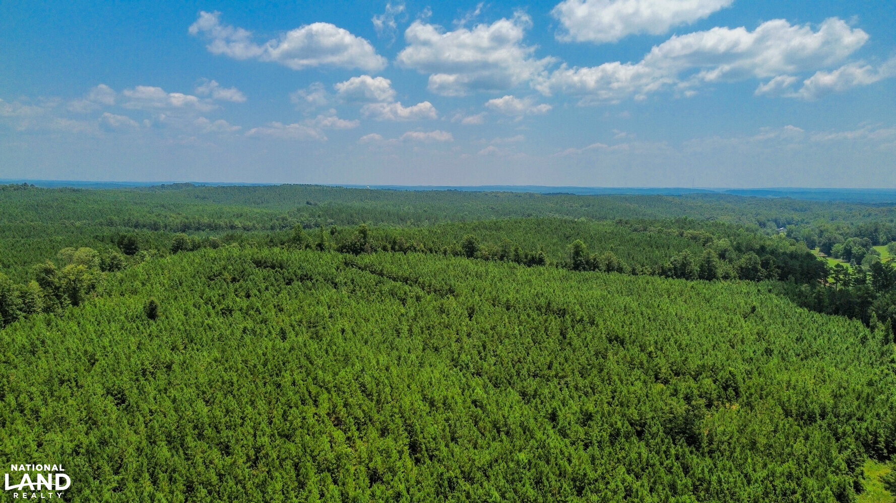 West Bibb Timber and Hunting Investment in Bibb County, Alabama (45