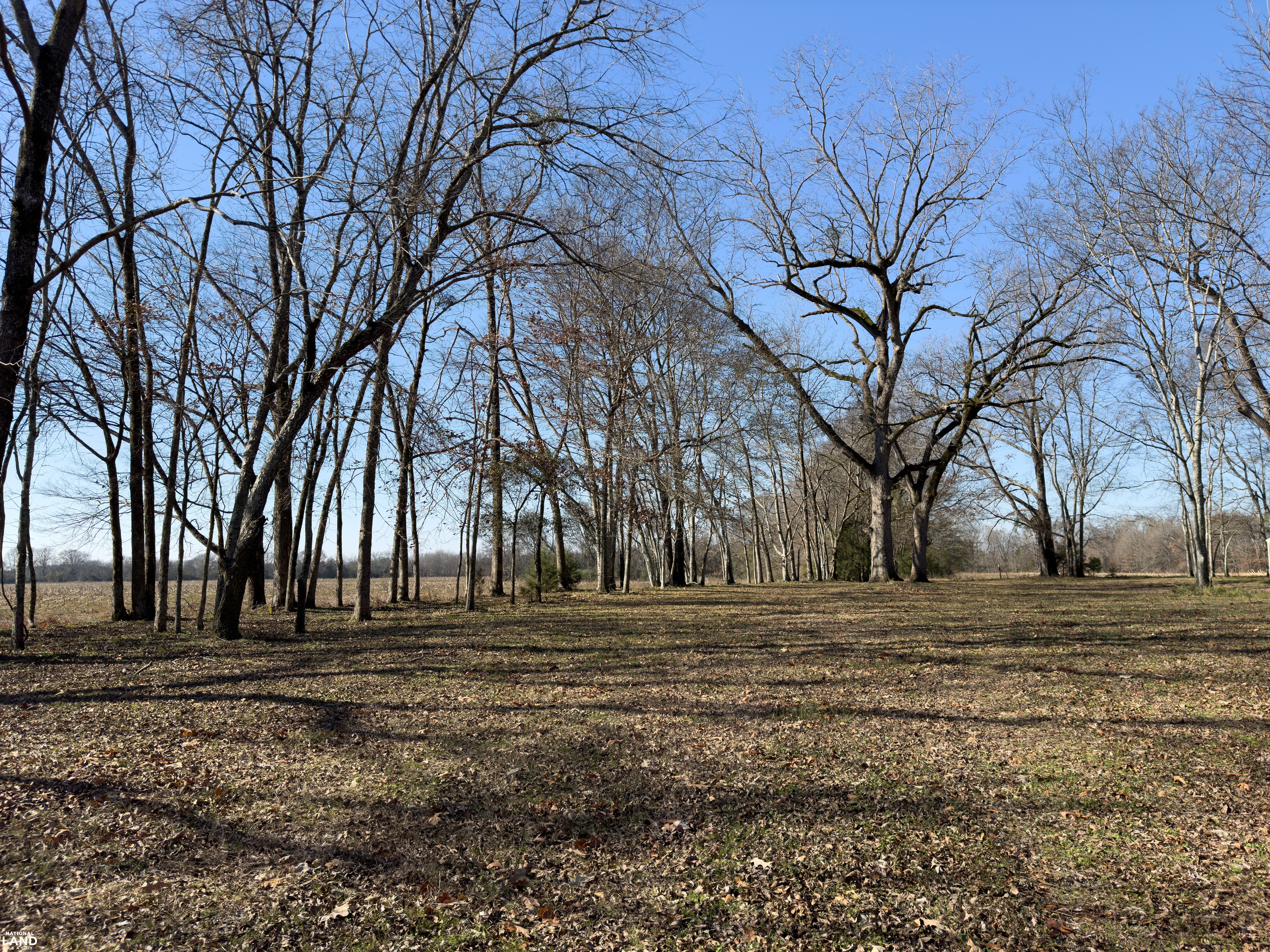 The Magnolia House: Historic Home with Acreage in Perry County, AL (36 of 39)