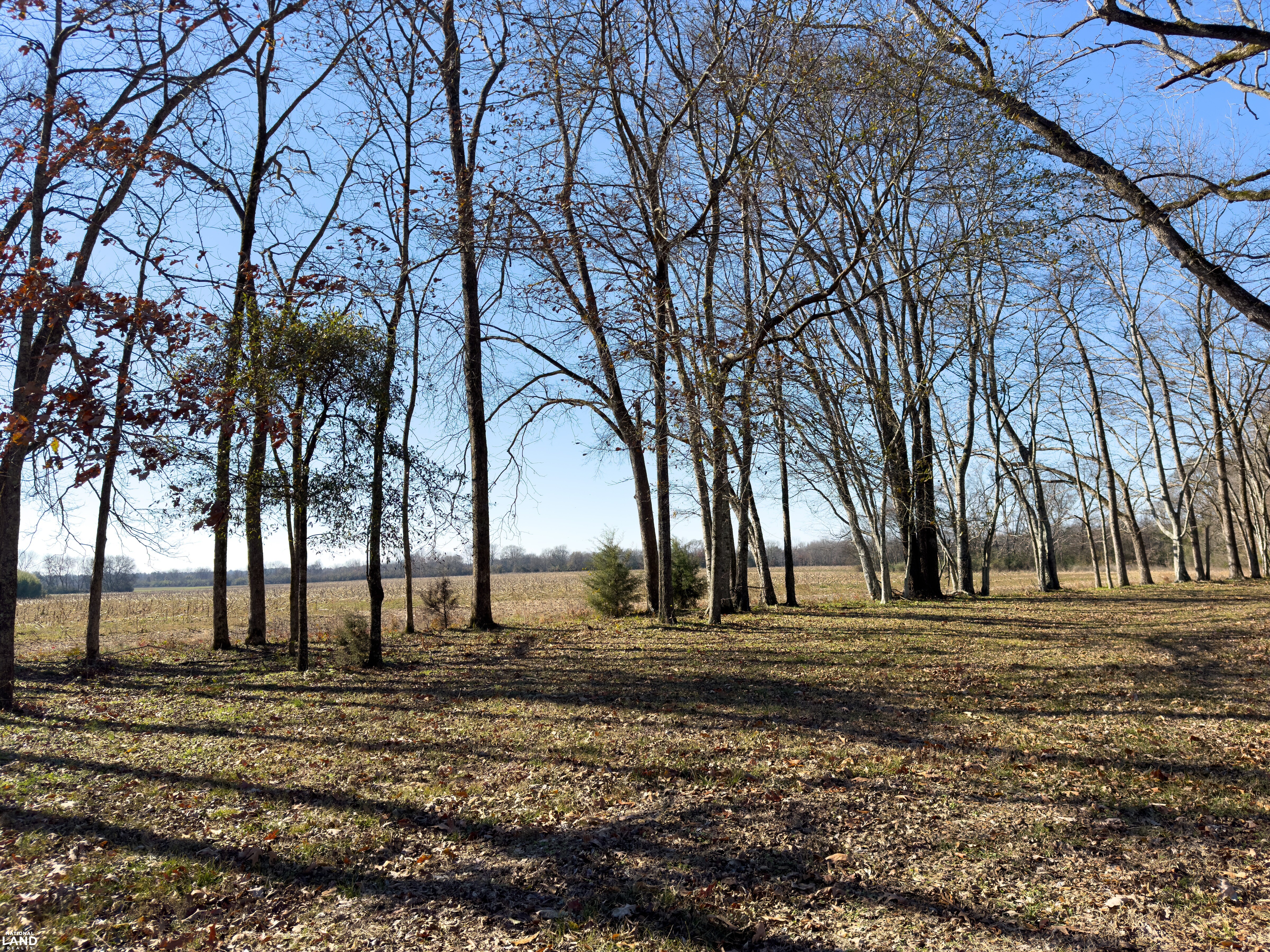The Magnolia House: Historic Home with Acreage in Perry County, AL (37 of 39)