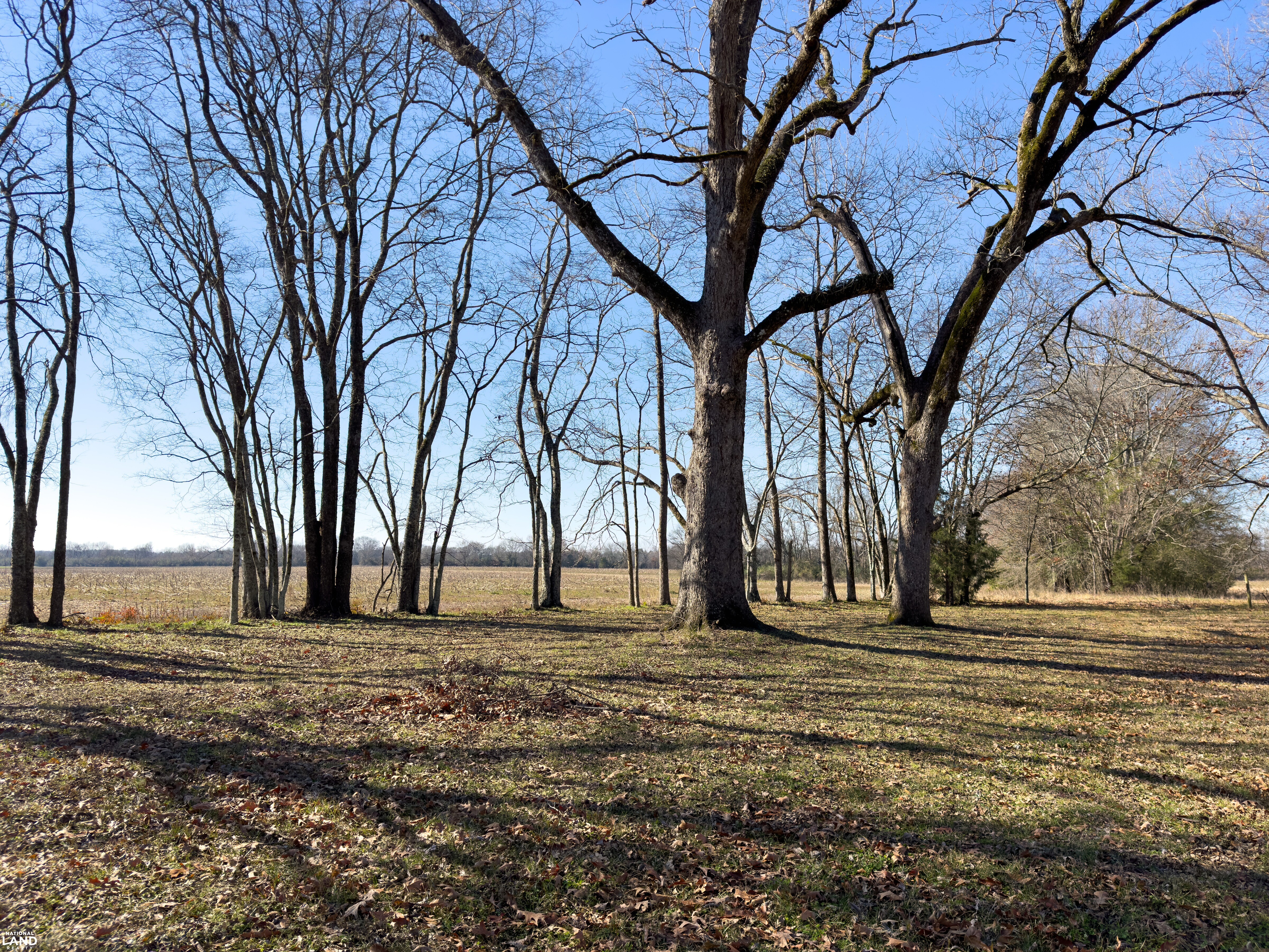 The Magnolia House: Historic Home with Acreage in Perry County, AL (38 of 39)