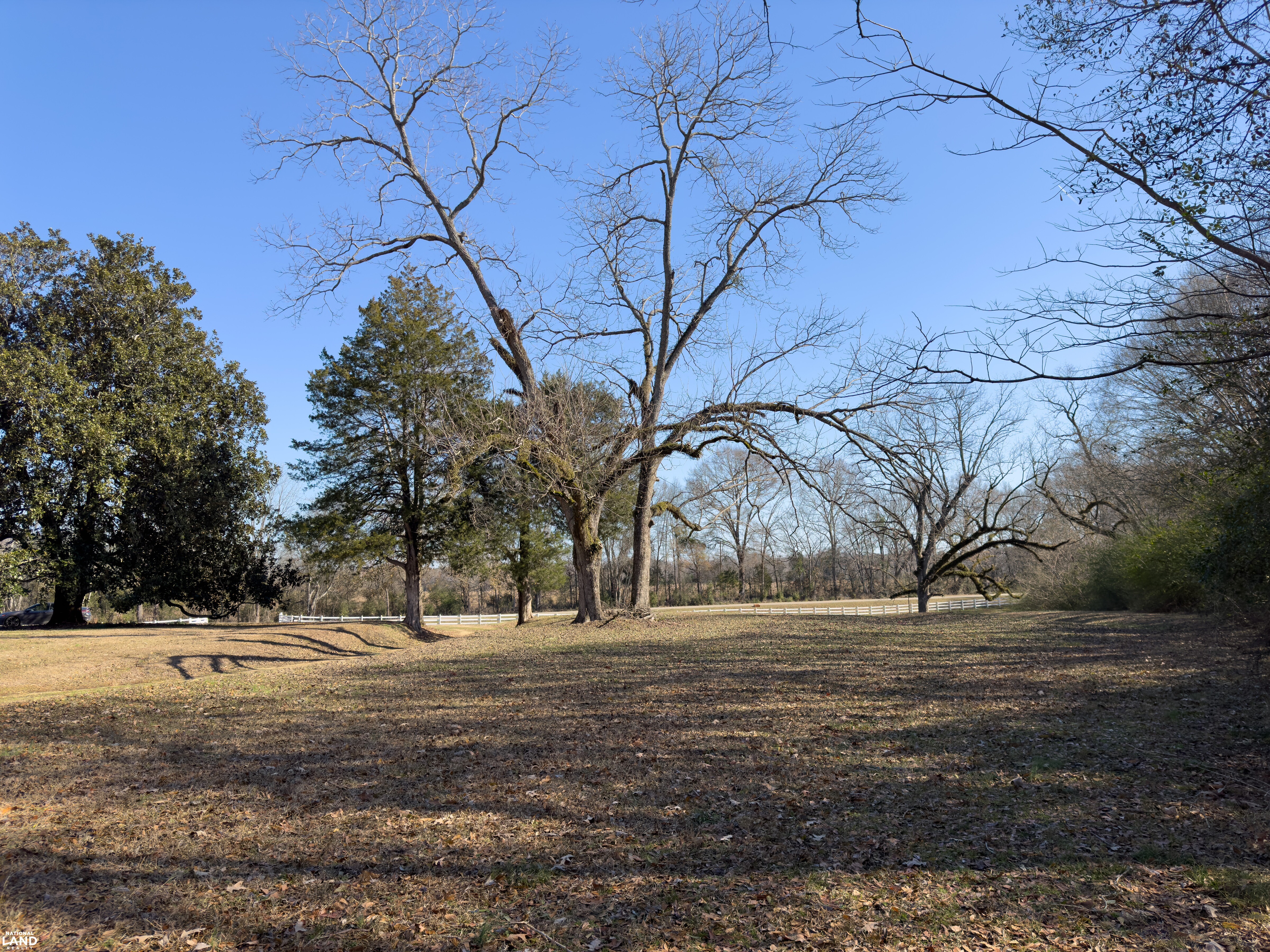 The Magnolia House: Historic Home with Acreage in Perry County, AL (33 of 39)