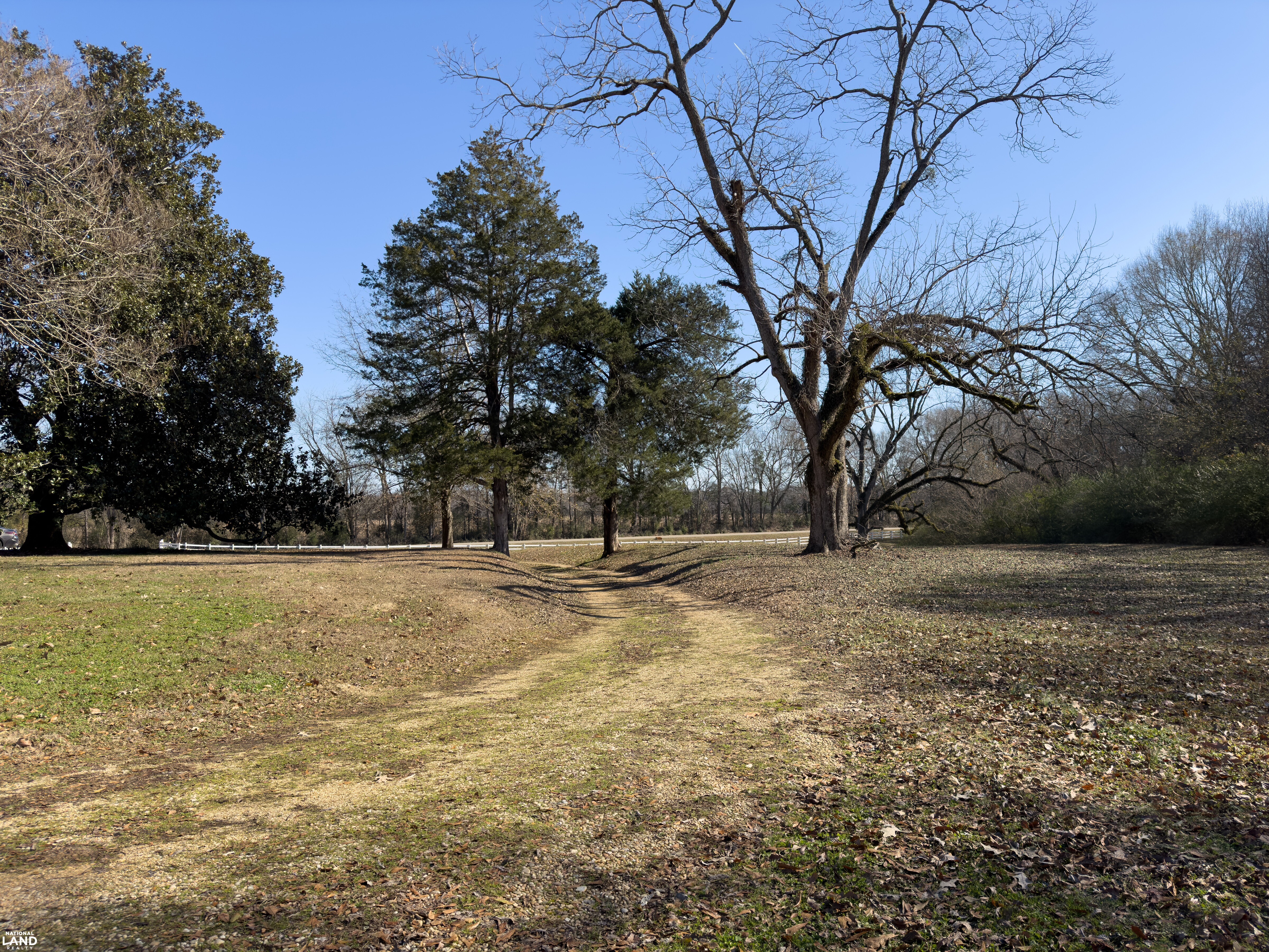The Magnolia House: Historic Home with Acreage in Perry County, AL (35 of 39)