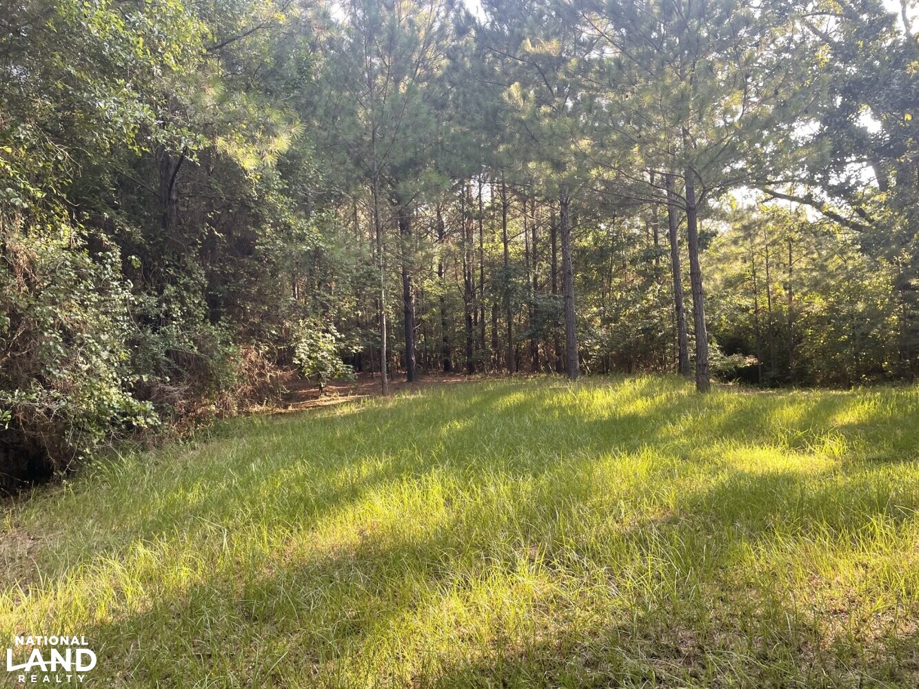 Echola Hunting, Homesite, and Timber Tract in Tuscaloosa County