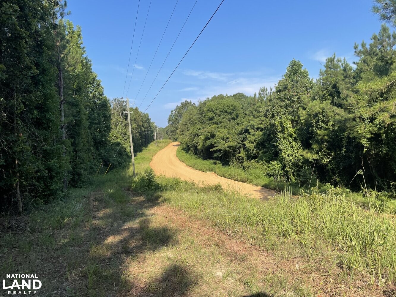 Echola Homesite and Hunting Tract in Tuscaloosa County, Alabama (8