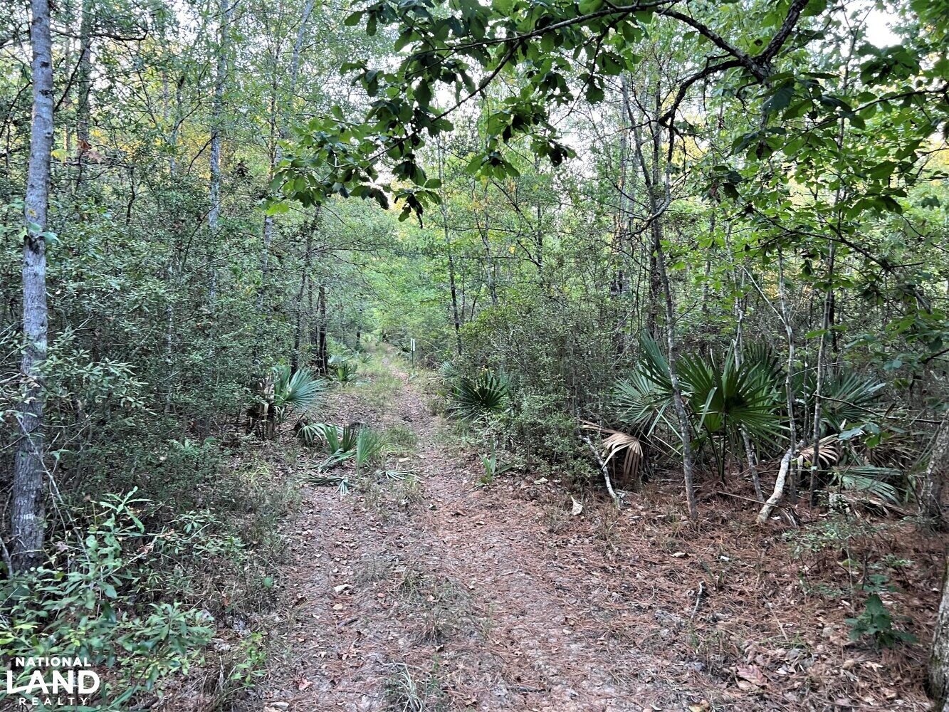 Batiste Creek Hunting and Timber Tracts in Liberty County, Texas (72