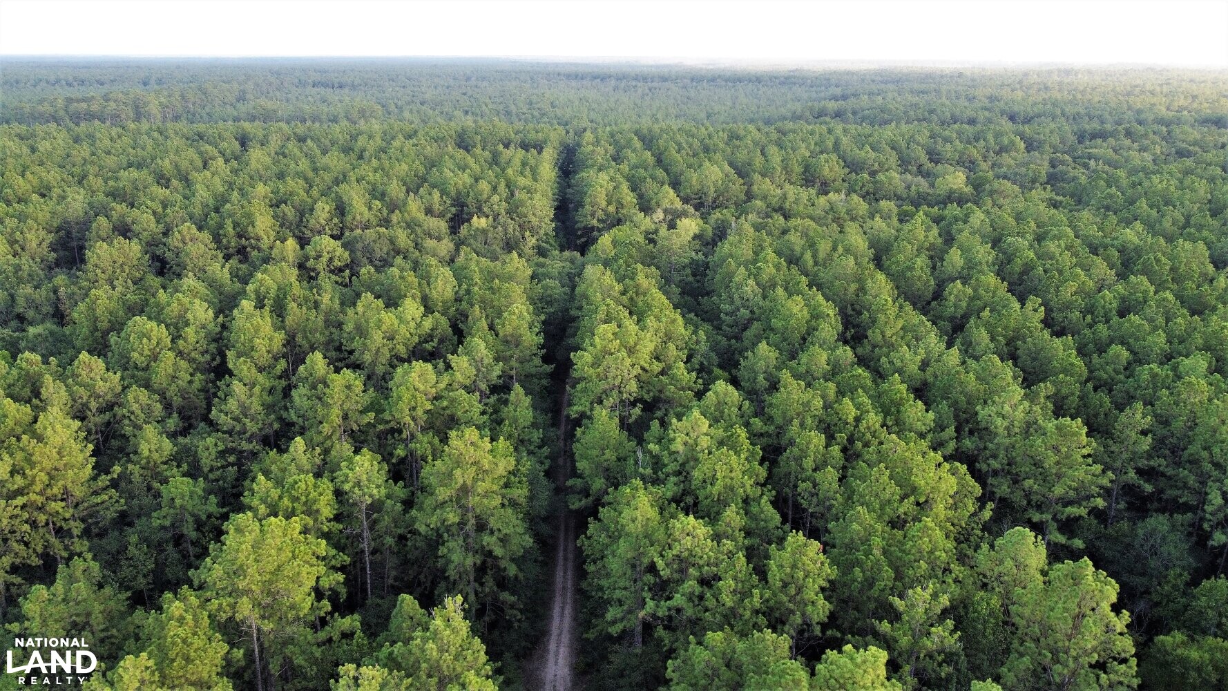 Batiste Creek Hunting and Timber Tracts in Liberty County, Texas (72