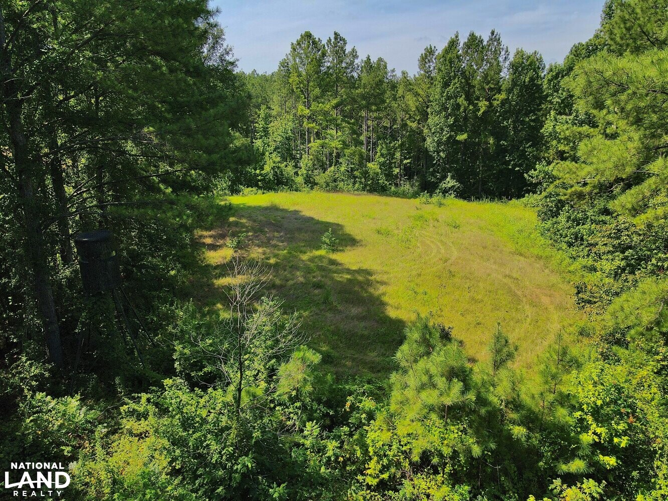 Lay Lake Timber, Development, & Hunting in Talladega County, Alabama