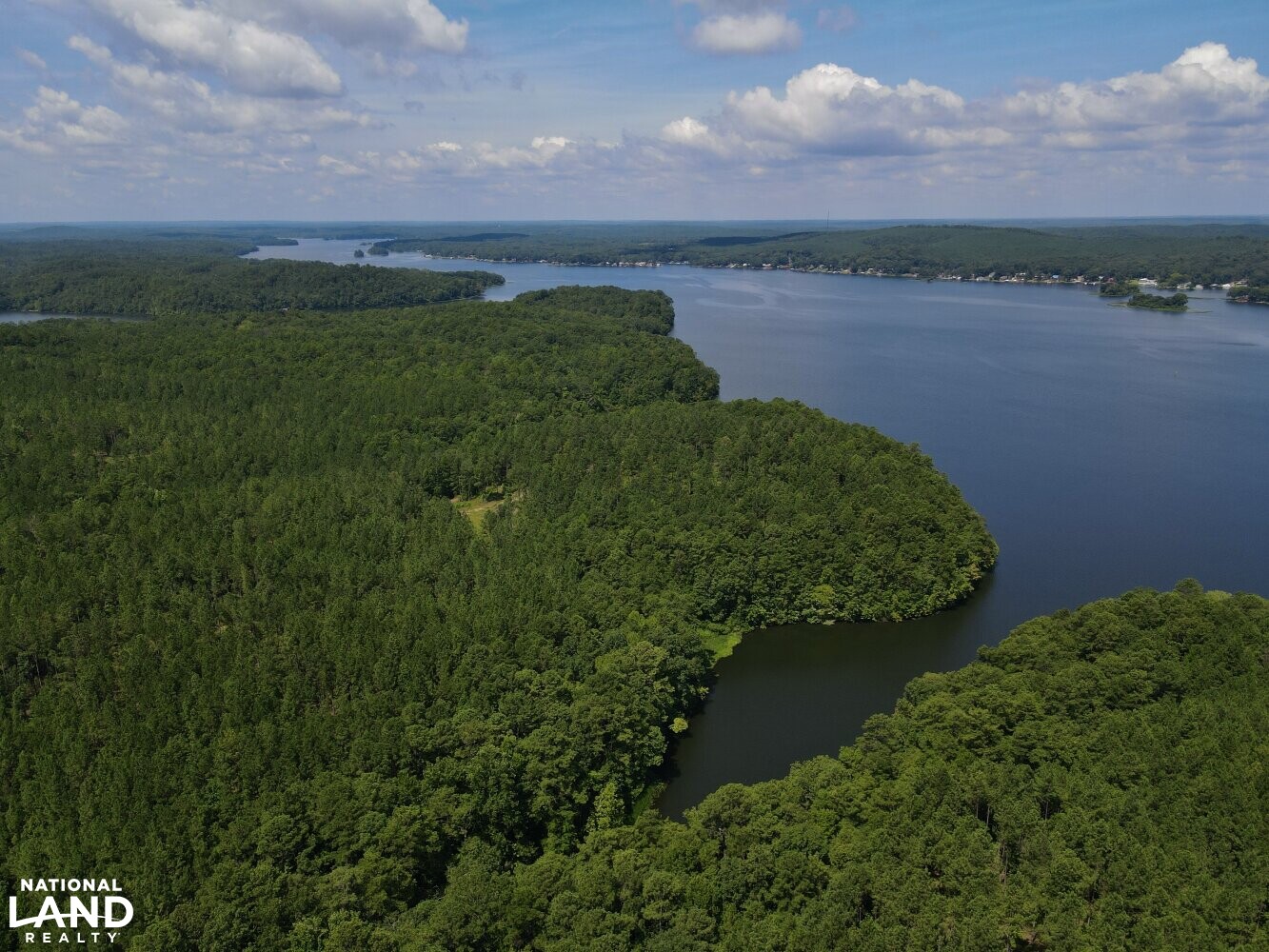 Lay Lake Timber, Development, & Hunting in Talladega County, Alabama (33 Photos) National Land